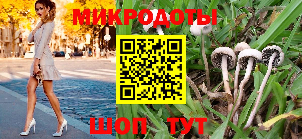 Галлюциногенные грибы MAGIC MUSHROOMS Тайшет