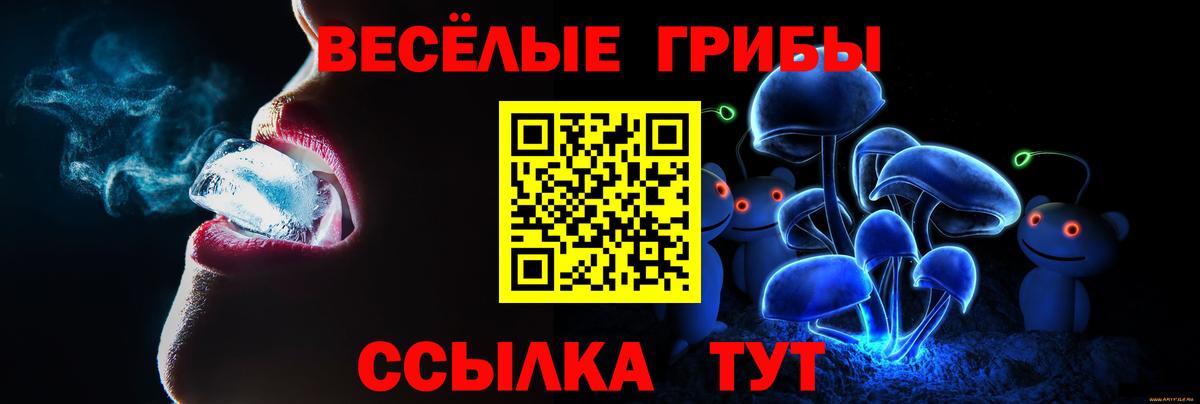 Тайшет  Псилоцибиновые грибы прущие грибы  Вход с VPN 